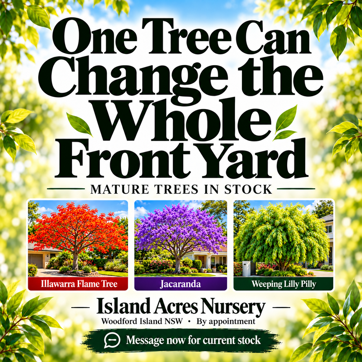 One Tree Can Change the Whole Front Yard: Island Acres Nursery promotion featuring Illawarra Flame Tree, Jacaranda and Weeping Lilly Pilly